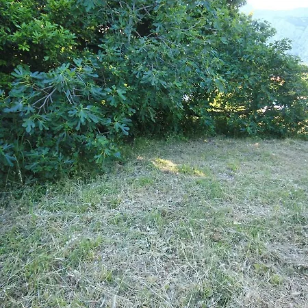 Apartments By The Sea Orebic, Peljesac - 10094 Orebic